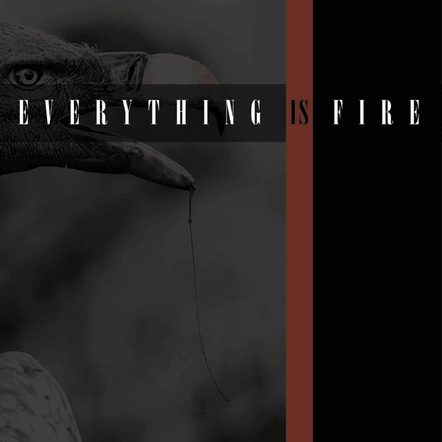 CD - Everything is Fire (Jewel Case)